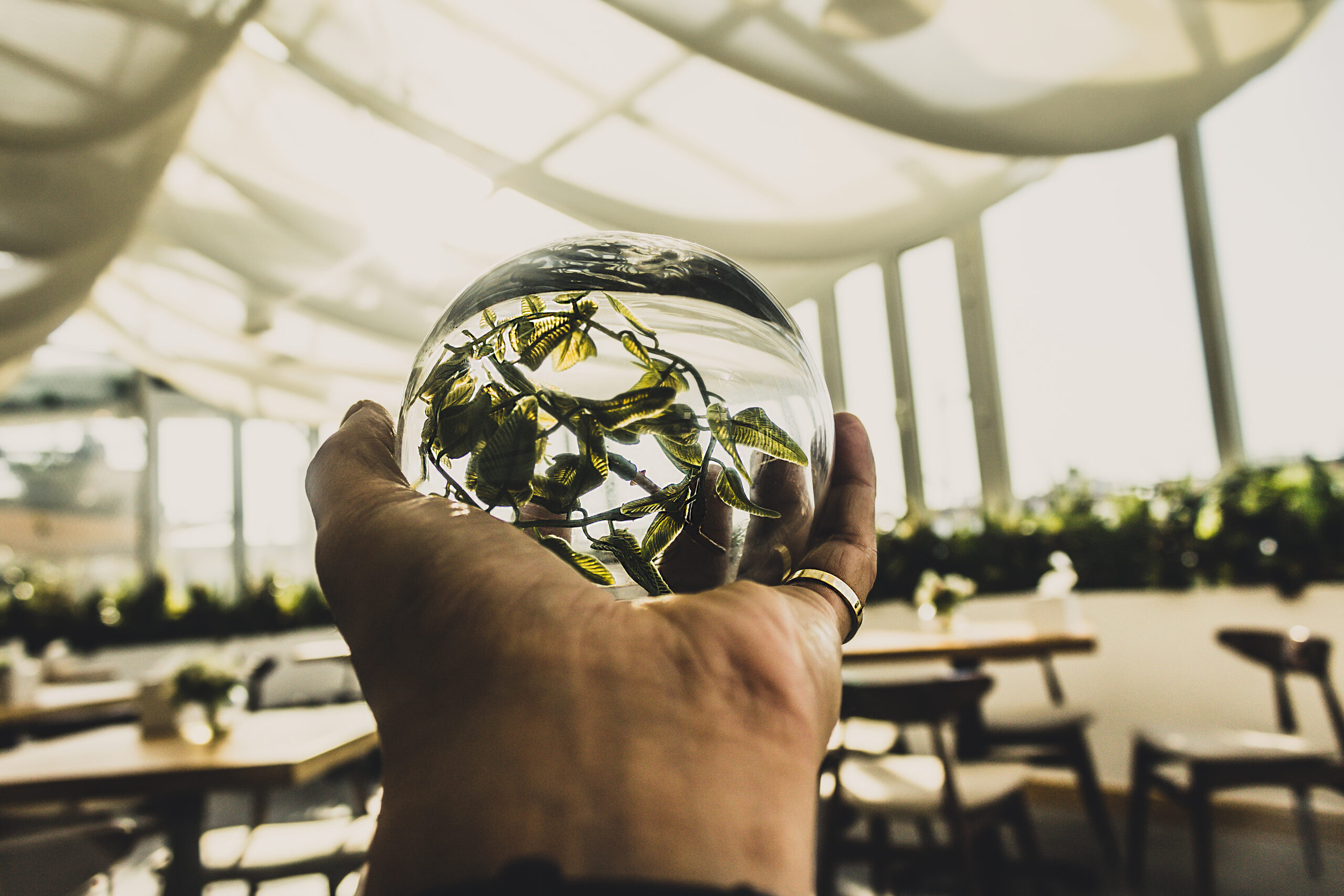 Sustainable Event Management Practices for a Green...